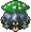 Shitake